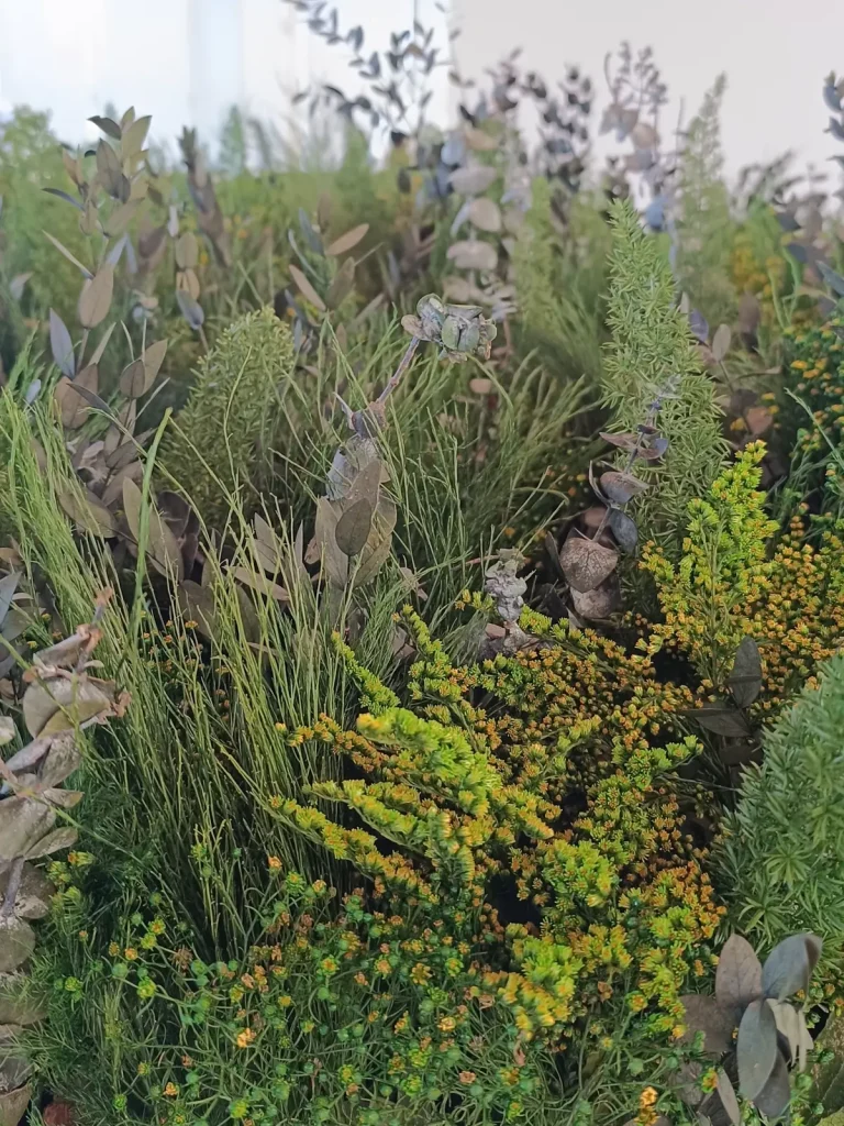 Jardinera con plantas preservadas y eucalipto en una oficina diáfana