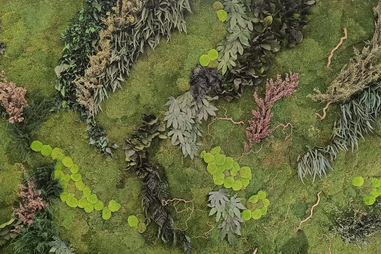 Jardín vertical preservado con musgo, helechos y flores secas
