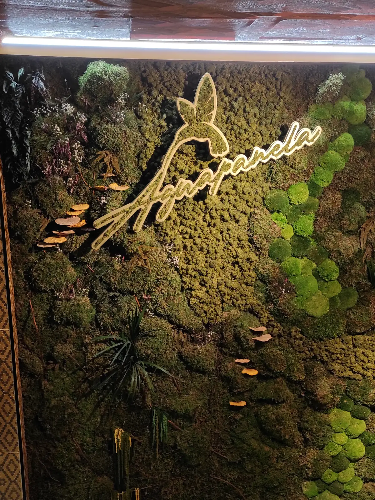Rótulo luminoso sobre un jardín vertical de musgo